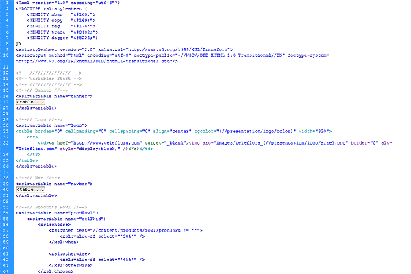 Code View
